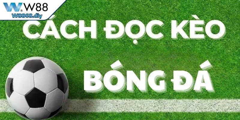 Những lưu ý và cách đọc kèo dành cho tân binh